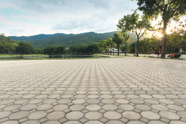 Best Interlocking Driveway Pavers  in The Villages, FL